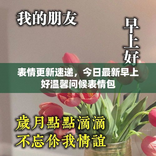 表情更新速递，今日最新早上好温馨问候表情包