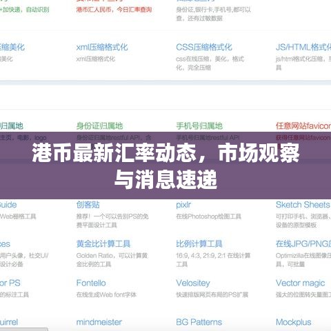 港币最新汇率动态，市场观察与消息速递