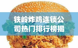 投诉说明 第10页