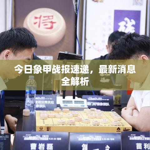 今日象甲战报速递，最新消息全解析