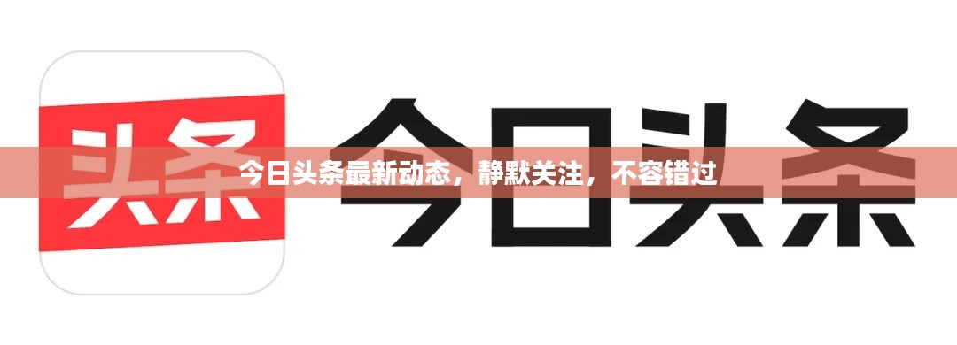 今日头条最新动态，静默关注，不容错过