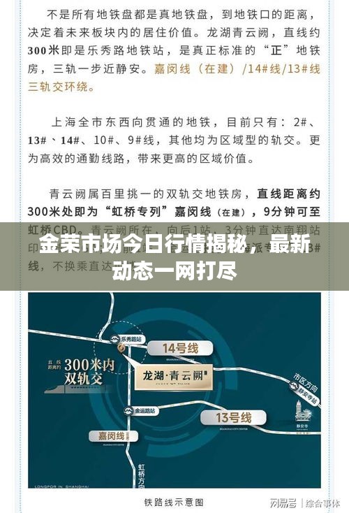 金荣市场今日行情揭秘，最新动态一网打尽