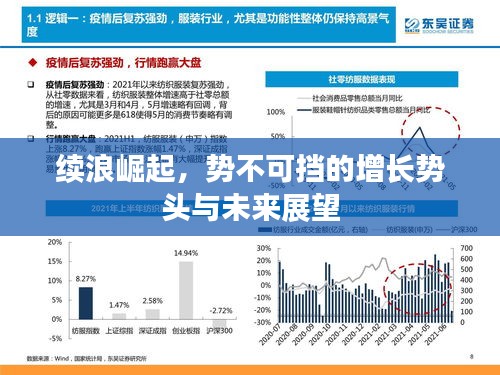 续浪崛起，势不可挡的增长势头与未来展望