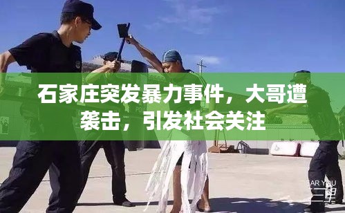 石家庄突发暴力事件，大哥遭袭击，引发社会关注