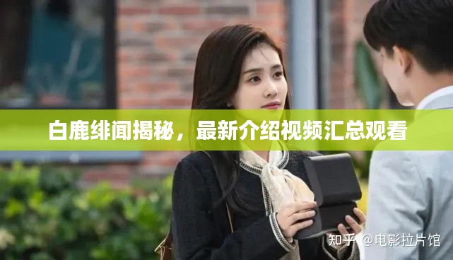 白鹿绯闻揭秘，最新介绍视频汇总观看