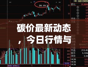 碳价最新动态，今日行情与市场走势深度解析