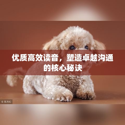 优质高效读音，塑造卓越沟通的核心秘诀