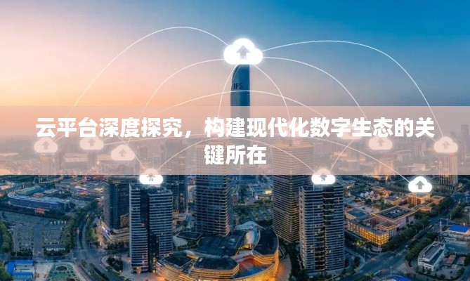 云平台深度探究，构建现代化数字生态的关键所在