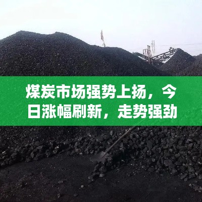 煤炭市场强势上扬，今日涨幅刷新，走势强劲！
