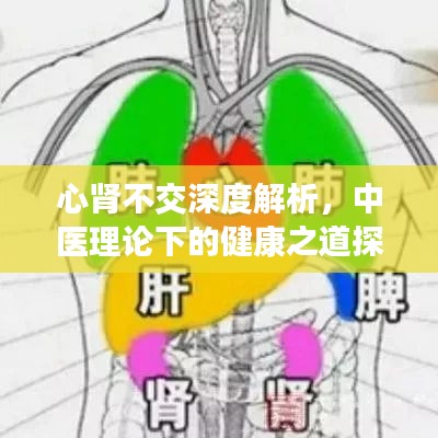 心肾不交深度解析，中医理论下的健康之道探索