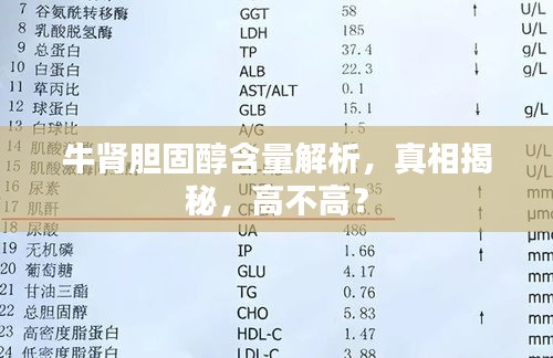 牛肾胆固醇含量解析，真相揭秘，高不高？