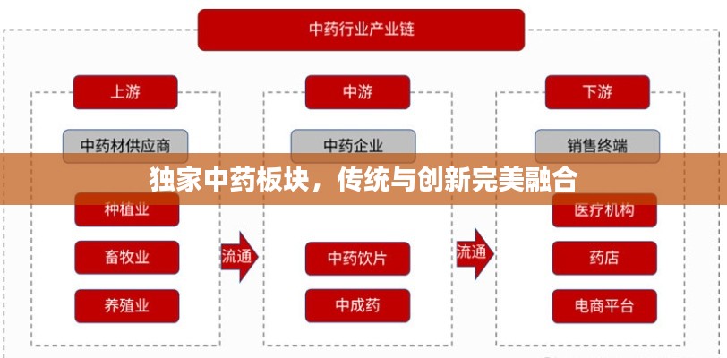 独家中药板块，传统与创新完美融合