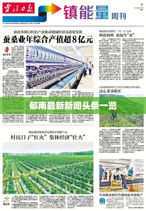 郁南最新新闻头条一览