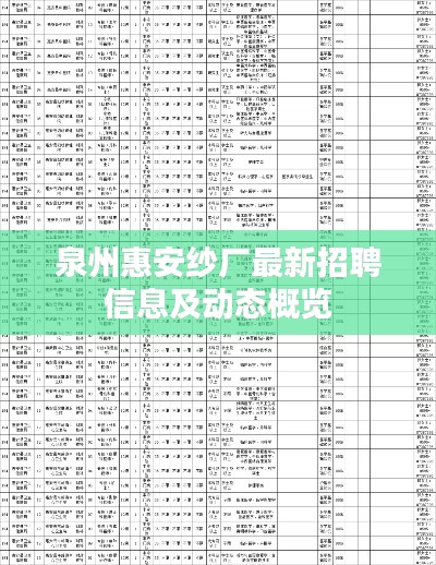 泉州惠安纱厂最新招聘信息及动态概览