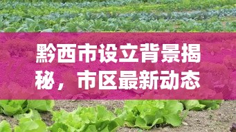 黔西市设立背景揭秘，市区最新动态与深层原因深度解析