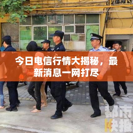 今日电信行情大揭秘，最新消息一网打尽