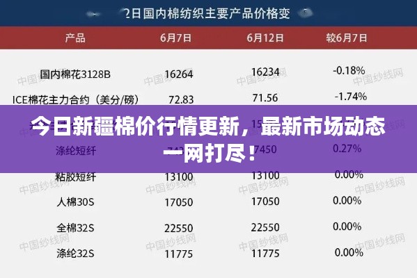 今日新疆棉价行情更新，最新市场动态一网打尽！