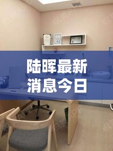 陆晖最新消息今日更新，揭秘最新动态！
