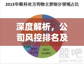 深度解析，公司风控排名及其影响