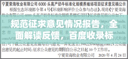规范征求意见情况报告，全面解读反馈，百度收录标准下的吸睛标题！