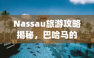雅人清致