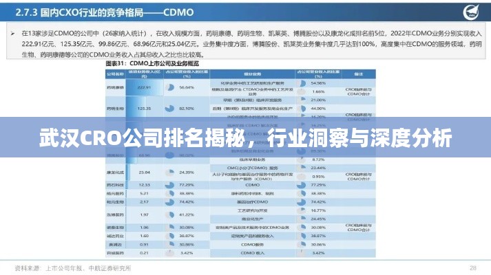 武汉CRO公司排名揭秘，行业洞察与深度分析
