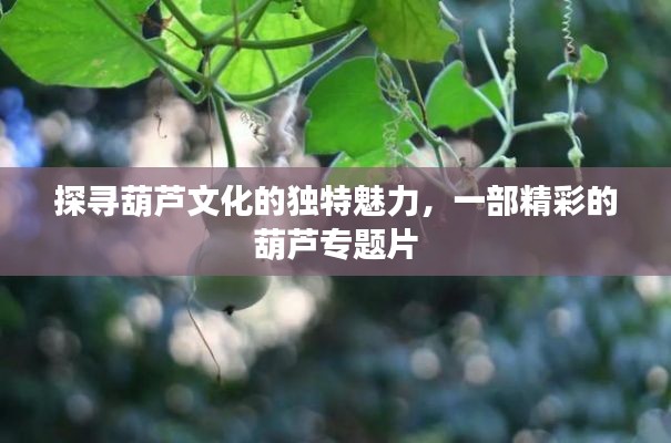 探寻葫芦文化的独特魅力，一部精彩的葫芦专题片