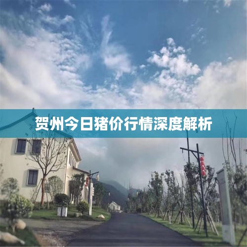 无拘无束