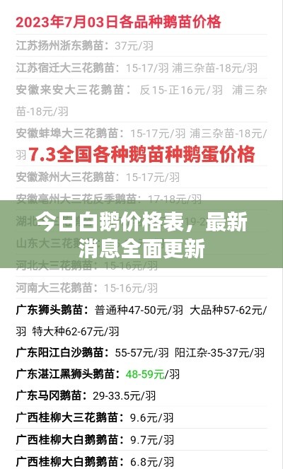 今日白鹅价格表，最新消息全面更新