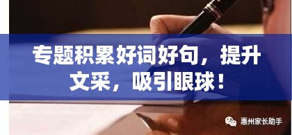 专题积累好词好句，提升文采，吸引眼球！