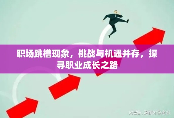 职场跳槽现象，挑战与机遇并存，探寻职业成长之路