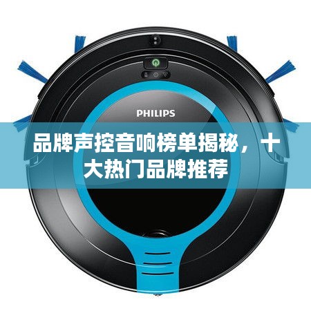 品牌声控音响榜单揭秘，十大热门品牌推荐