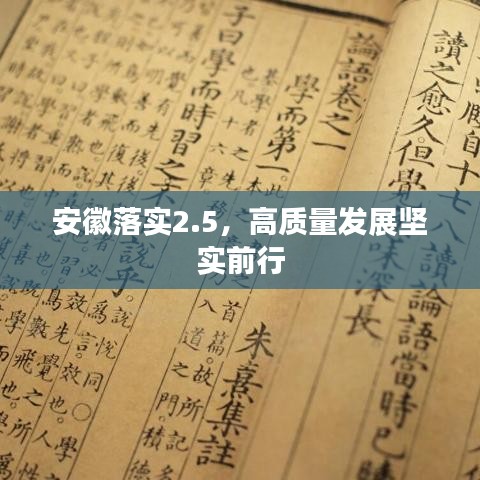 安徽落实2.5，高质量发展坚实前行
