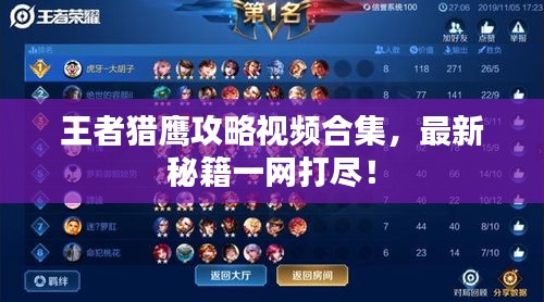 王者猎鹰攻略视频合集，最新秘籍一网打尽！