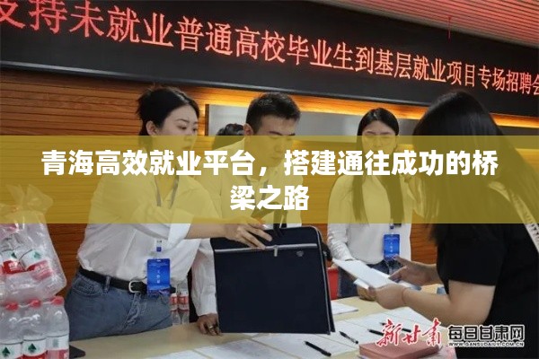 青海高效就业平台，搭建通往成功的桥梁之路