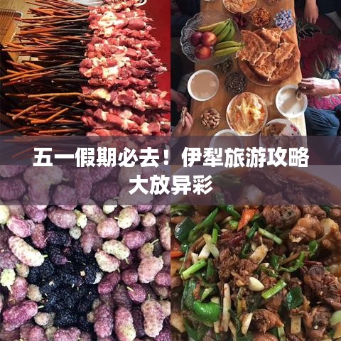 五一假期必去！伊犁旅游攻略大放异彩