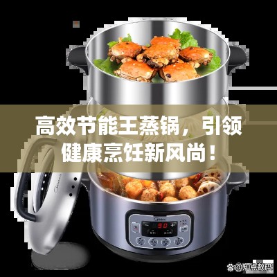 高效节能王蒸锅，引领健康烹饪新风尚！
