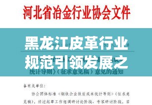 黑龙江皮革行业规范引领发展之力