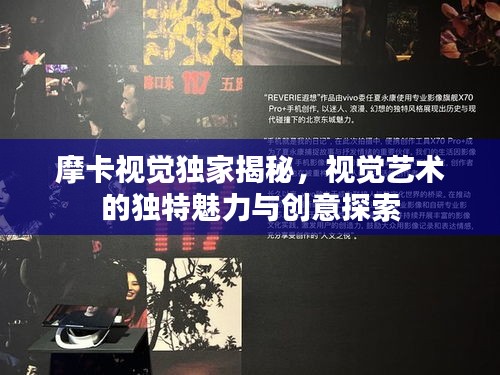 摩卡视觉独家揭秘，视觉艺术的独特魅力与创意探索