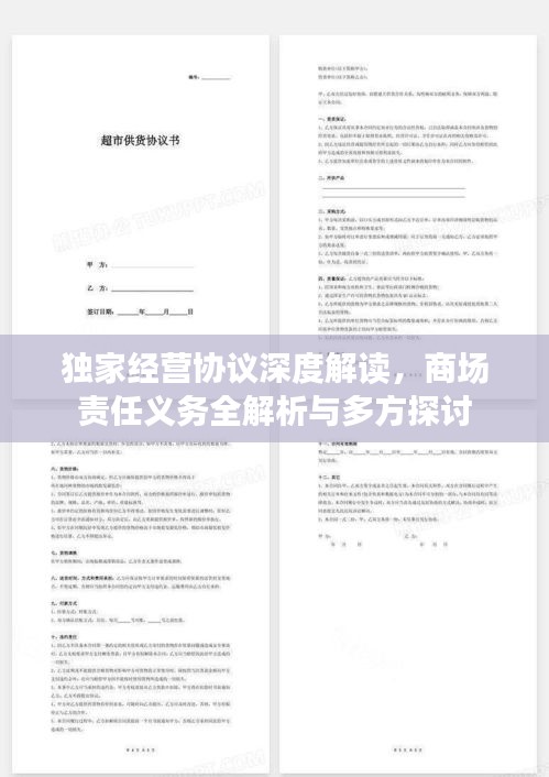 独家经营协议深度解读，商场责任义务全解析与多方探讨