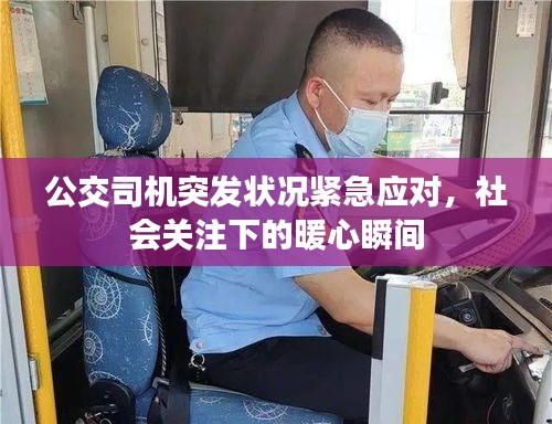 公交司机突发状况紧急应对，社会关注下的暖心瞬间