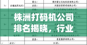 株洲打码机公司排名揭晓，行业影响力与市场份额揭秘