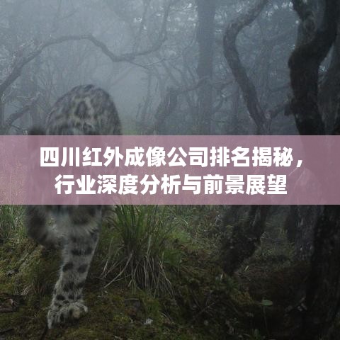 四川红外成像公司排名揭秘，行业深度分析与前景展望