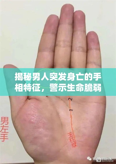 揭秘男人突发身亡的手相特征，警示生命脆弱需警惕！